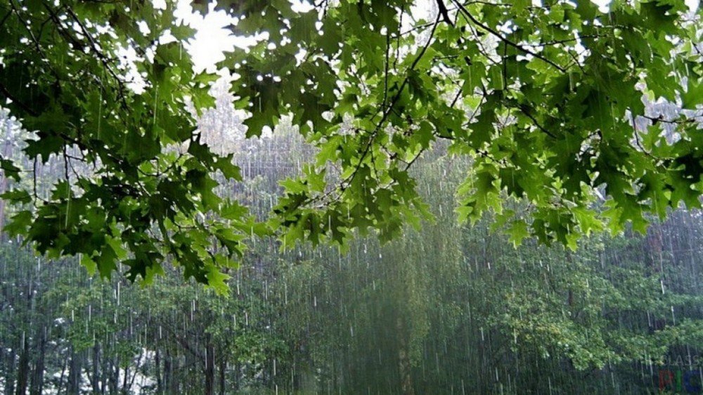 Sabaha olan hava proqnozu - 13 iyul 