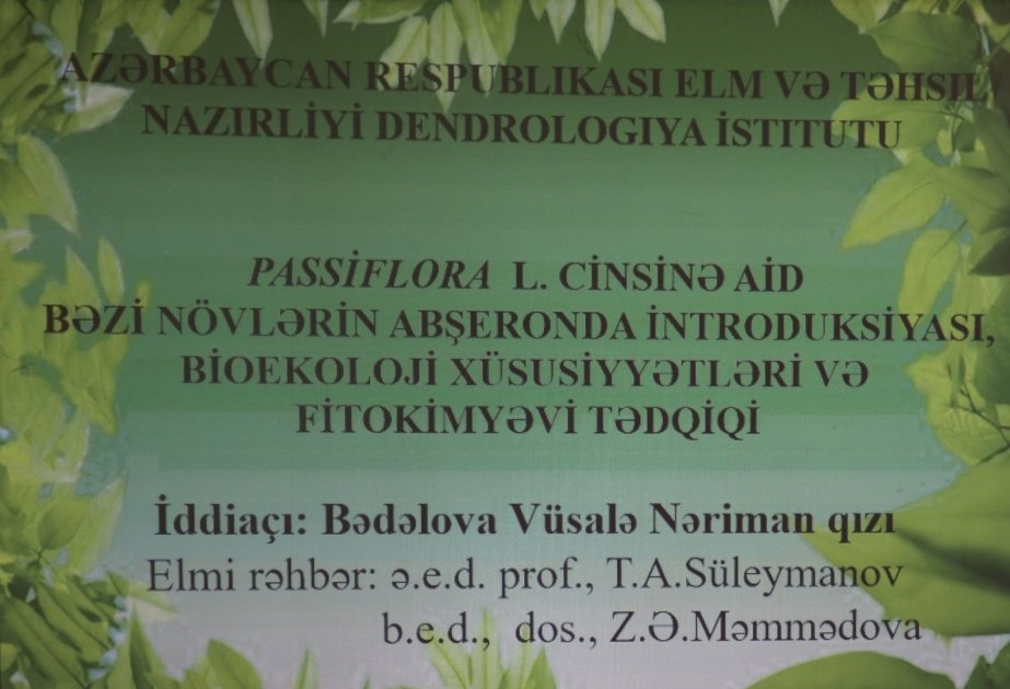 Dendrologiya İnstitutunun elmi şurasının iclasında dissertasiya işi müzakirə edilib