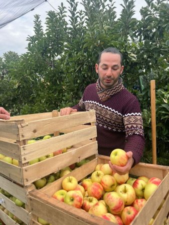 Peşə məktəblərinin tələbələri kənd təsərrüfatı istiqaməti üzrə Almaniyada təcrübələdədirlər - FOTO