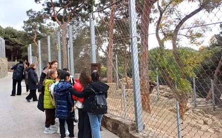 Bakı Zooloji Parkında dərs-ekskursiyalar keçirilir - FOTO