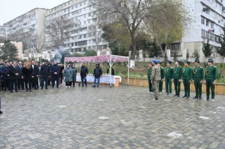 Humanitar Fənlər Təmayüllü liseydə ağacəkmə aksiyası keçirilib - FOTO