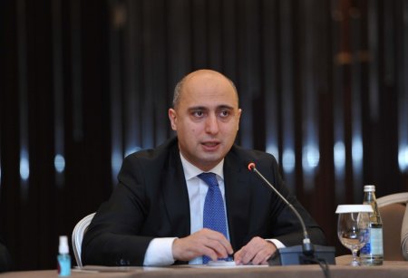 Nazir: "Qızılcaya yoluxmada nisbətən azalma var"