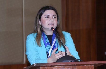 Yaşlı alimlərimizin ingilis dilini bilməmələri işlərinə mane olur” – Ülkər Səttarova