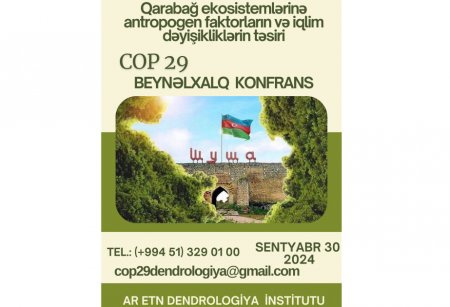 Dendrologiya İnstitutu COP29-la bağlı beynəlxalq konfrans keçirəcək