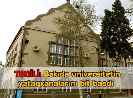 Bakıda universitetin yataqxanalarını bit basdı - VİDEO