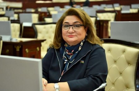 Uşaqlarla bağll forumlarında səsləndirilən fikirlər qanunvericiliyimizdə əksini tapır