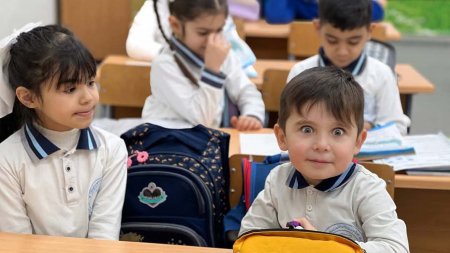 85 minə yaxın uşaq avtomatik olaraq 1-ci sinfə yerləşdirilib